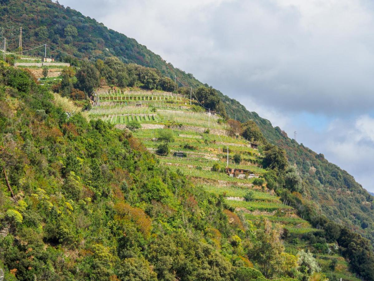 Villa Tanca With Ac, Terrace And Views Monterosso al Mare Ngoại thất bức ảnh